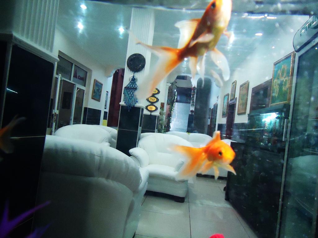Hotel Vatan 3*